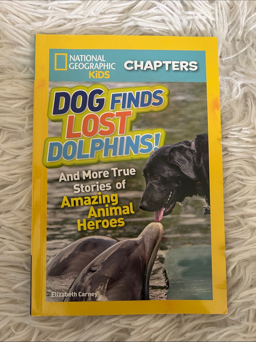 National Geographic Kids Chapters: Dog Finds Lost Dolphins! - Yellow Cover,